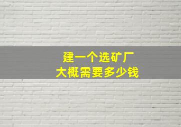 建一个选矿厂大概需要多少钱