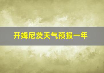 开姆尼茨天气预报一年