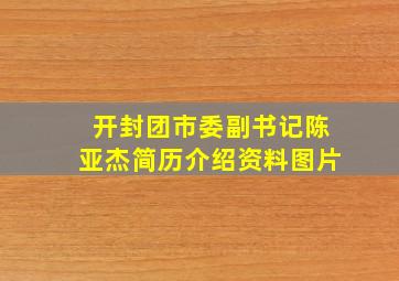 开封团市委副书记陈亚杰简历介绍资料图片