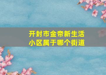 开封市金帝新生活小区属于哪个街道