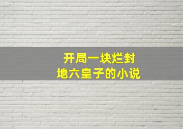 开局一块烂封地六皇子的小说