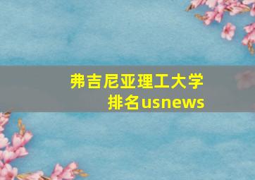 弗吉尼亚理工大学排名usnews