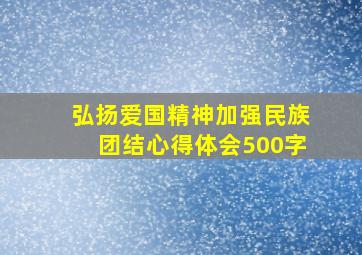 弘扬爱国精神加强民族团结心得体会500字