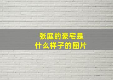 张庭的豪宅是什么样子的图片