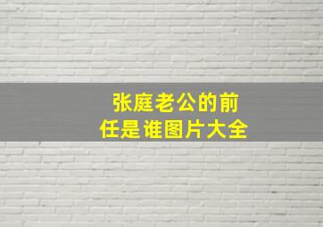 张庭老公的前任是谁图片大全