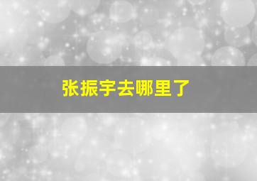 张振宇去哪里了