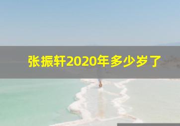 张振轩2020年多少岁了