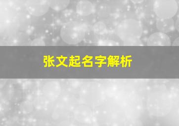 张文起名字解析