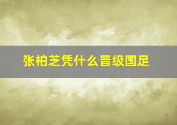 张柏芝凭什么晋级国足