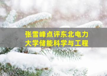 张雪峰点评东北电力大学储能科学与工程