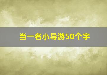 当一名小导游50个字