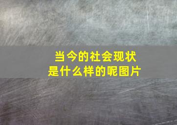 当今的社会现状是什么样的呢图片