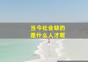 当今社会缺的是什么人才呢