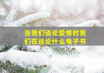 当我们谈论爱情时我们在谈论什么电子书