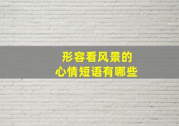 形容看风景的心情短语有哪些