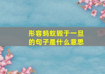 形容蚂蚁毁于一旦的句子是什么意思