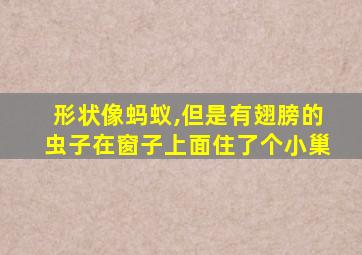 形状像蚂蚁,但是有翅膀的虫子在窗子上面住了个小巢