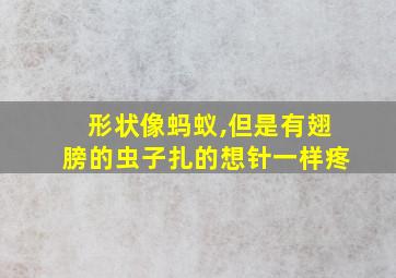 形状像蚂蚁,但是有翅膀的虫子扎的想针一样疼