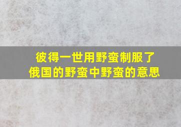 彼得一世用野蛮制服了俄国的野蛮中野蛮的意思