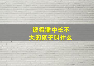 彼得潘中长不大的孩子叫什么