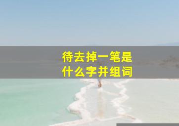 待去掉一笔是什么字并组词