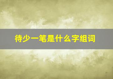 待少一笔是什么字组词