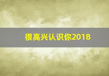 很高兴认识你2018