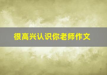 很高兴认识你老师作文