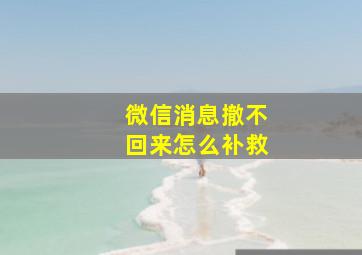 微信消息撤不回来怎么补救