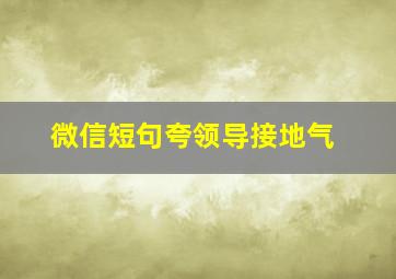 微信短句夸领导接地气