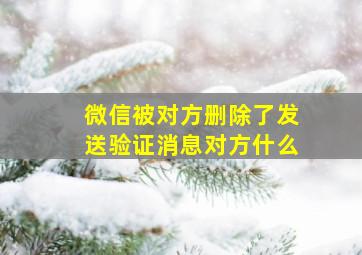 微信被对方删除了发送验证消息对方什么