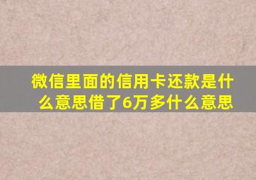 微信里面的信用卡还款是什么意思借了6万多什么意思