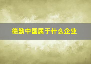 德勤中国属于什么企业