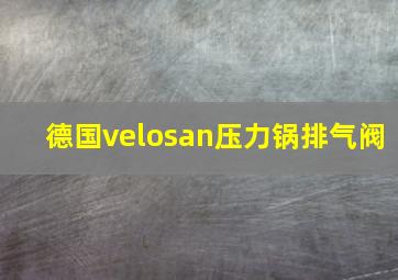 德国velosan压力锅排气阀