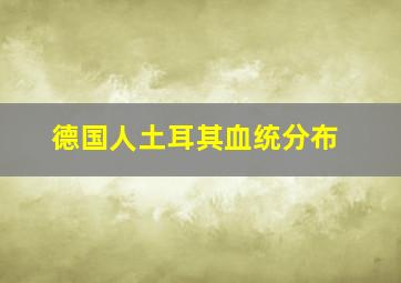 德国人土耳其血统分布