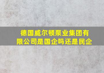 德国威尔顿泵业集团有限公司是国企吗还是民企