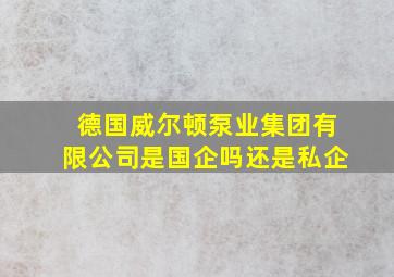 德国威尔顿泵业集团有限公司是国企吗还是私企