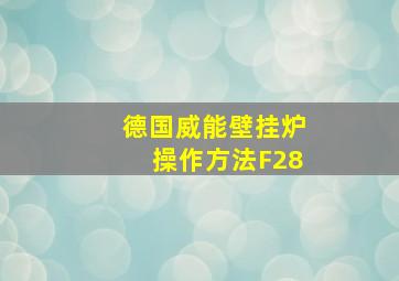 德国威能壁挂炉操作方法F28