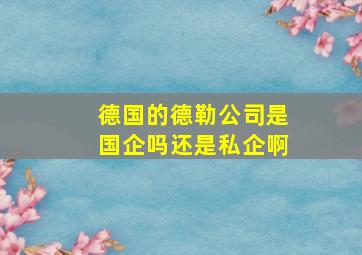 德国的德勒公司是国企吗还是私企啊