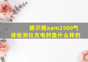 德尔格xam2500气体检测仪充电时是什么样的