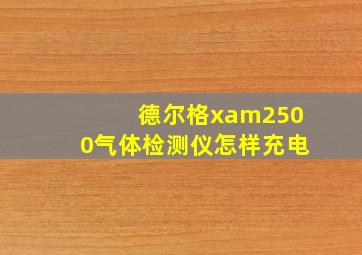 德尔格xam2500气体检测仪怎样充电