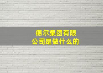 德尔集团有限公司是做什么的