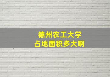 德州农工大学占地面积多大啊