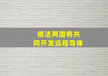 德法两国将共同开发远程导弹