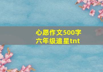 心愿作文500字六年级追星tnt