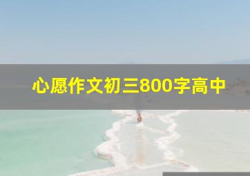 心愿作文初三800字高中