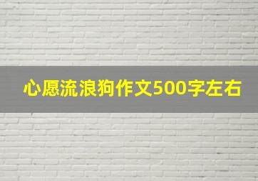 心愿流浪狗作文500字左右