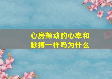 心房颤动的心率和脉搏一样吗为什么