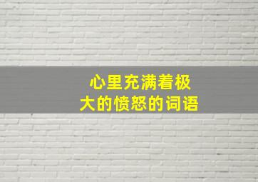 心里充满着极大的愤怒的词语