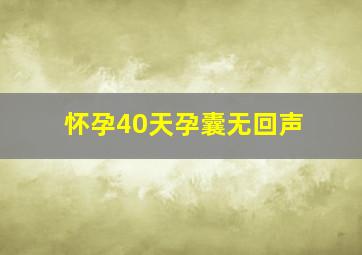 怀孕40天孕囊无回声